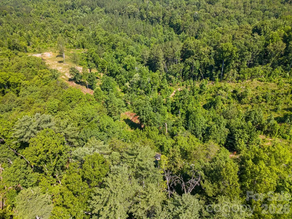 Lot #2 Clark Road Rutherfordton, NC 28139