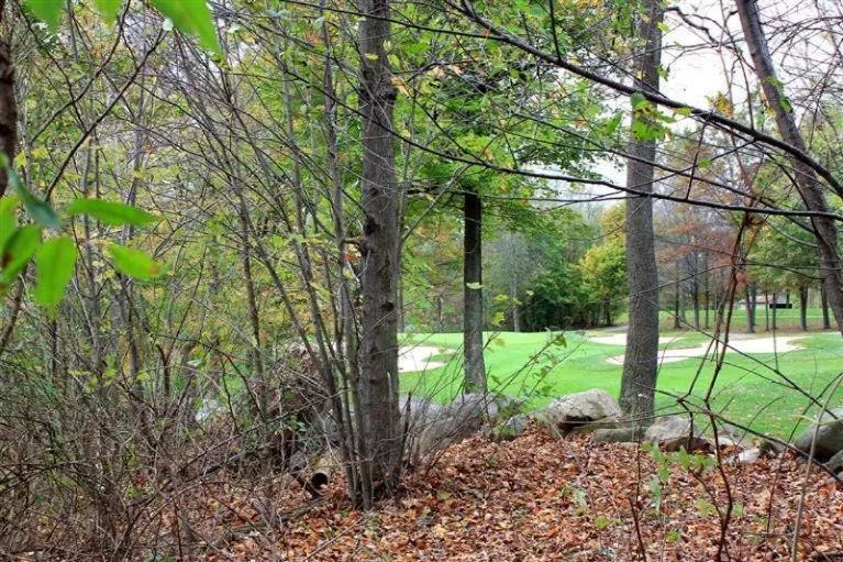 15321 Alister MacKenzie Avenue Augusta, MI 49012