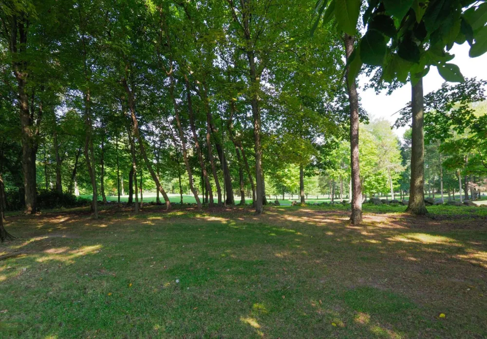15321 Alister MacKenzie Avenue Augusta, MI 49012