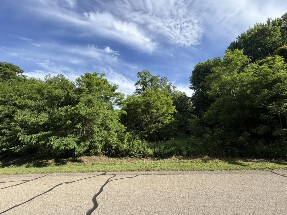 15321 Alister MacKenzie Avenue Augusta, MI 49012