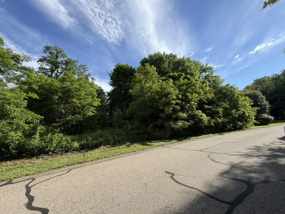 15321 Alister MacKenzie Avenue Augusta, MI 49012