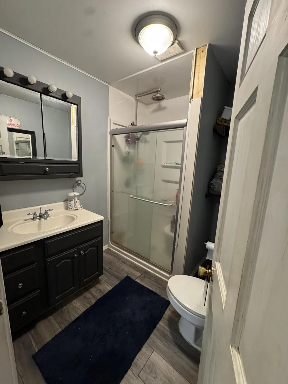 52985 Twin Lakeview Drive Dowagiac, MI 49047