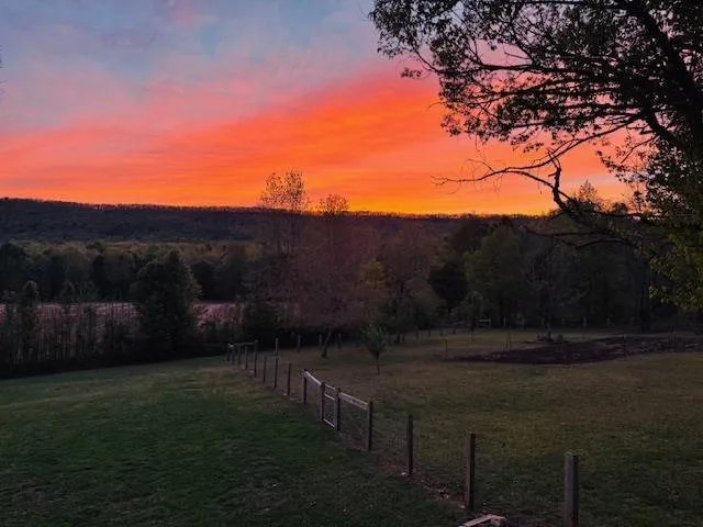 1254 Mountain Loop Road NW Sugar Valley, GA 30746