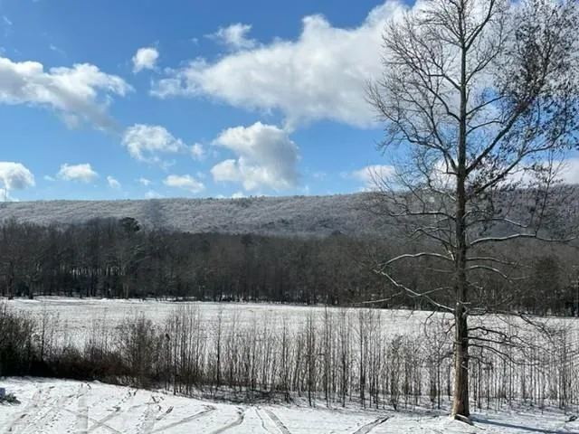 1254 Mountain Loop Road NW Sugar Valley, GA 30746
