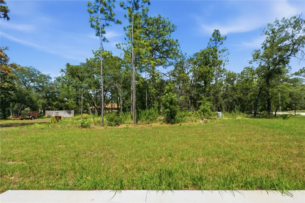 14586 MOCKING WREN ROAD Weeki Wachee, FL 34614