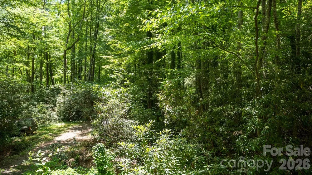 305 Melanie Lane Black Mountain, NC 28711