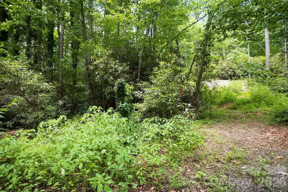 305 Melanie Lane Black Mountain, NC 28711