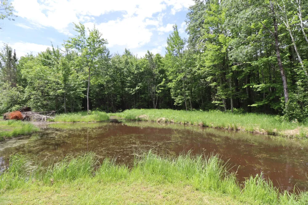 8767 S Lyman Lake Road South Range, WI 54874