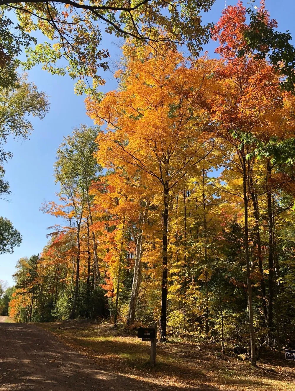8767 S Lyman Lake Road South Range, WI 54874