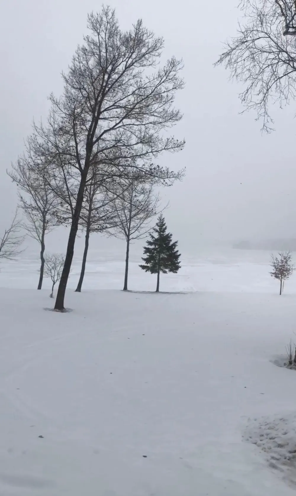 8767 S Lyman Lake Road South Range, WI 54874