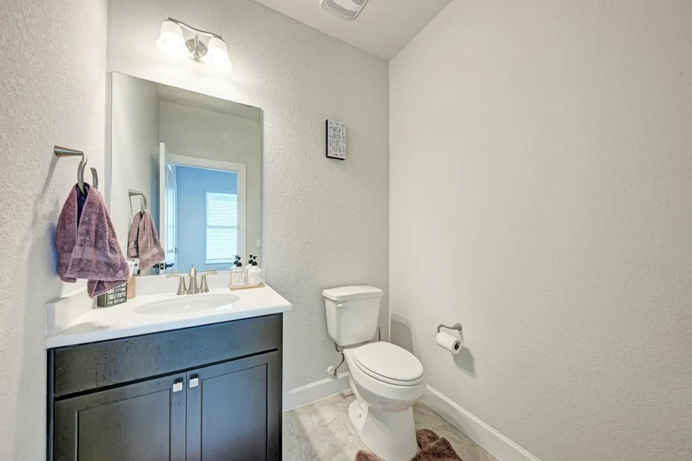 1105 White Daisy Lane Georgetown, TX 78628