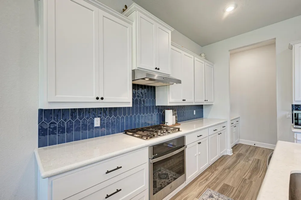 1105 White Daisy Lane Georgetown, TX 78628
