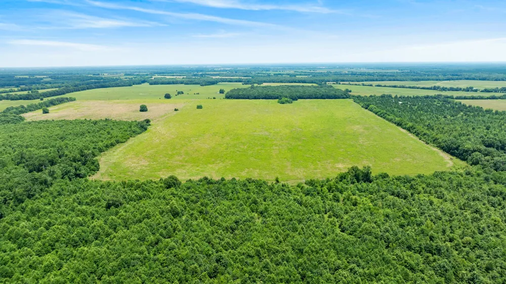 CR 1357 Clarksville, TX 75426