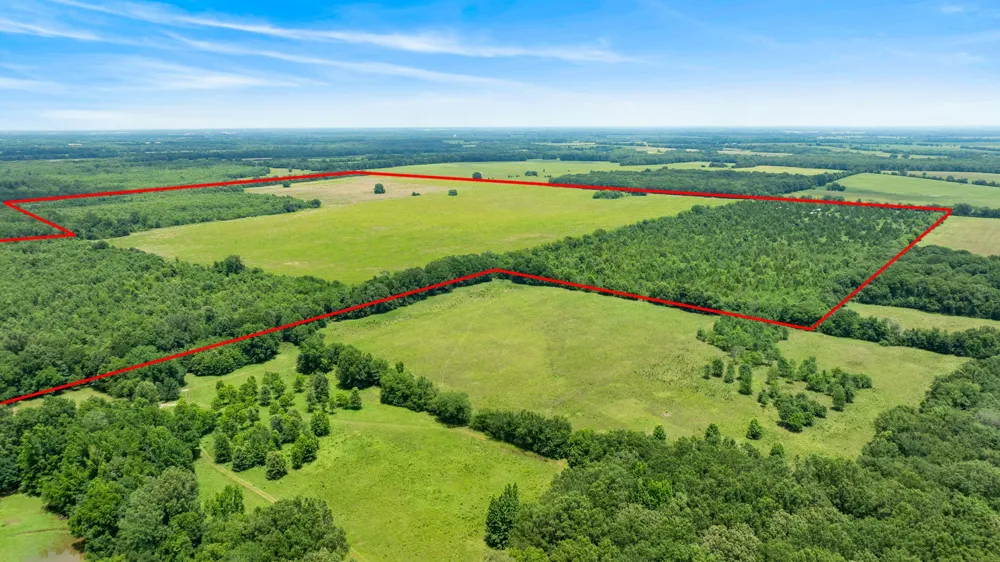 CR 1357 Clarksville, TX 75426