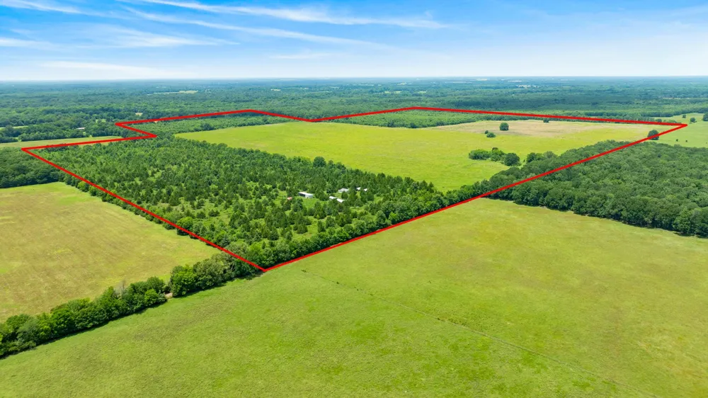CR 1357 Clarksville, TX 75426