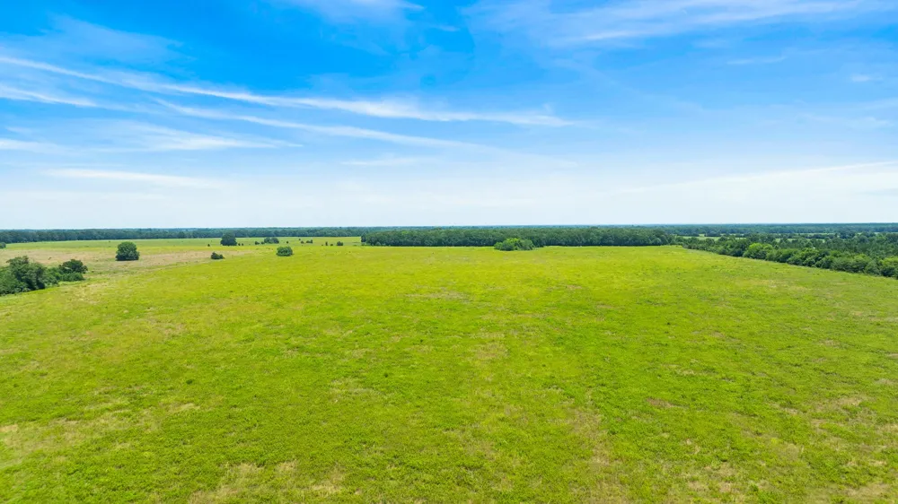CR 1357 Clarksville, TX 75426