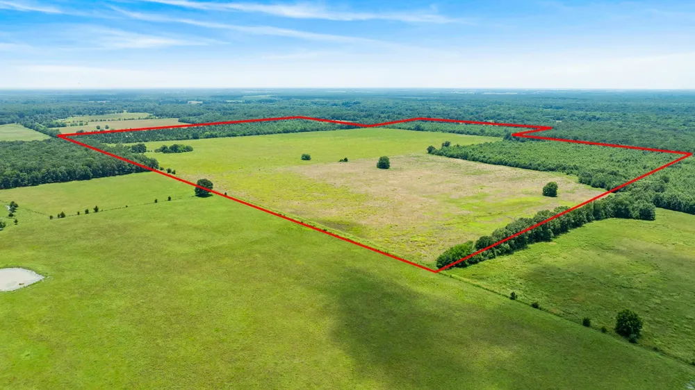 CR 1357 Clarksville, TX 75426