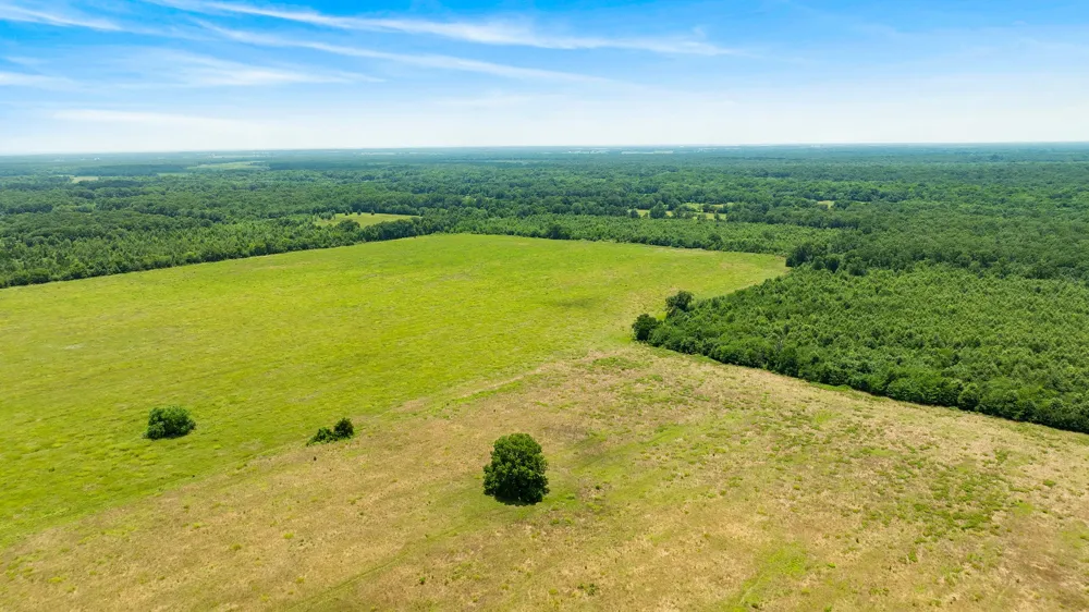 CR 1357 Clarksville, TX 75426