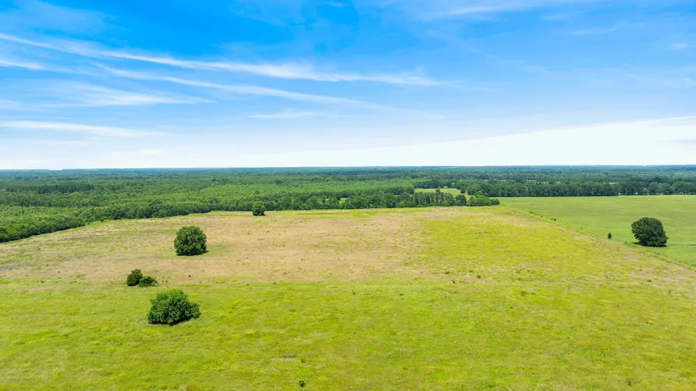 CR 1357 Clarksville, TX 75426