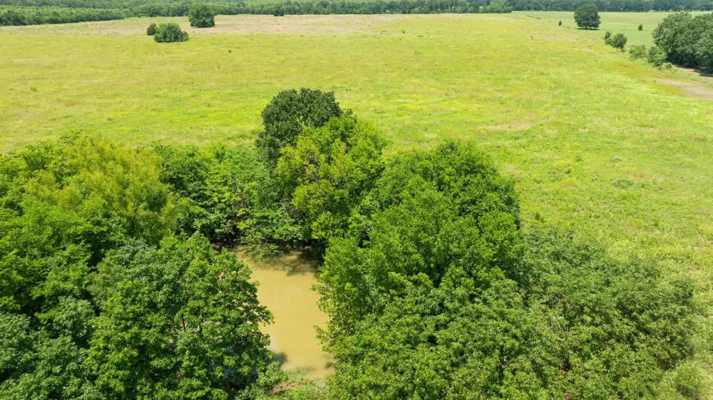 CR 1357 Clarksville, TX 75426
