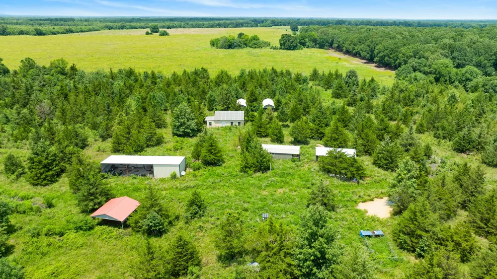 CR 1357 Clarksville, TX 75426