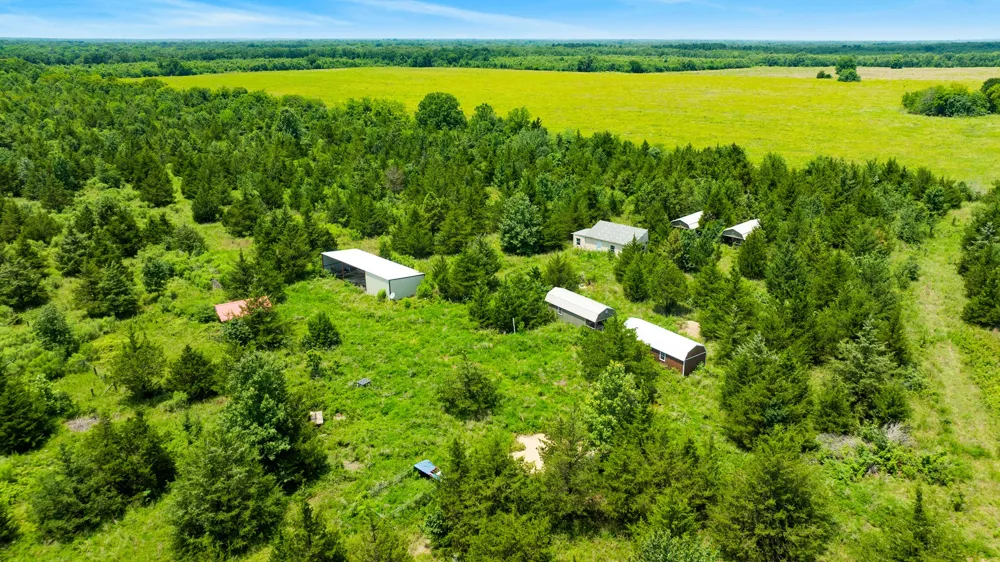 CR 1357 Clarksville, TX 75426