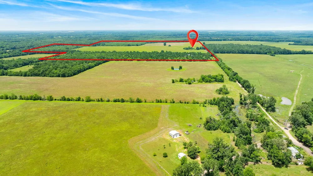 CR 1357 Clarksville, TX 75426