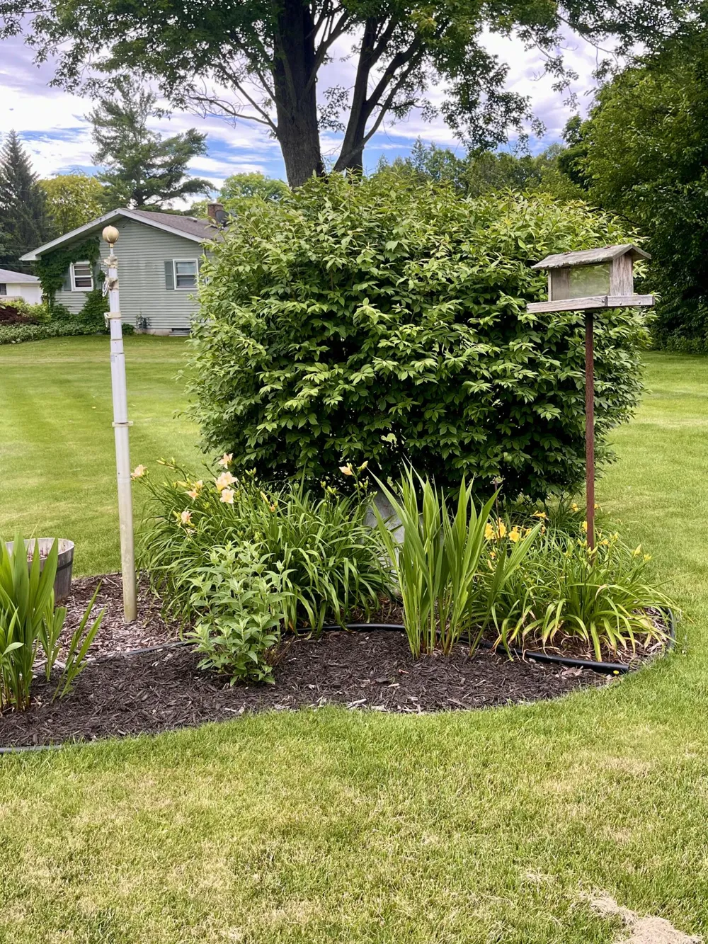 146 Squaw Creek Road Marshall, MI 49068