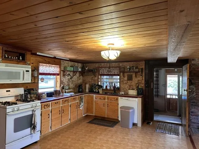 164 W 10 Mile Irons, MI 49644