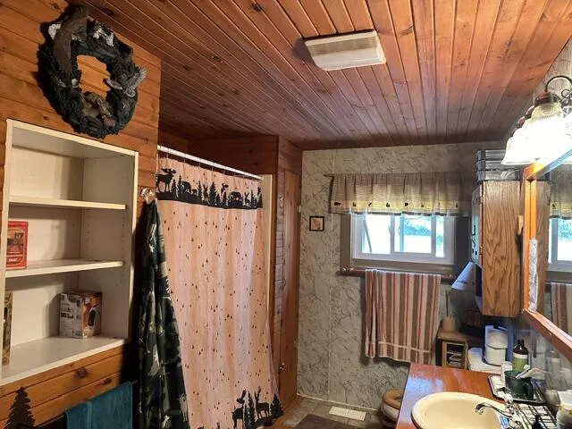 164 W 10 Mile Irons, MI 49644