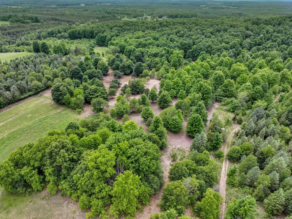 6351 33 ROAD Greenwood Township, MI 49663