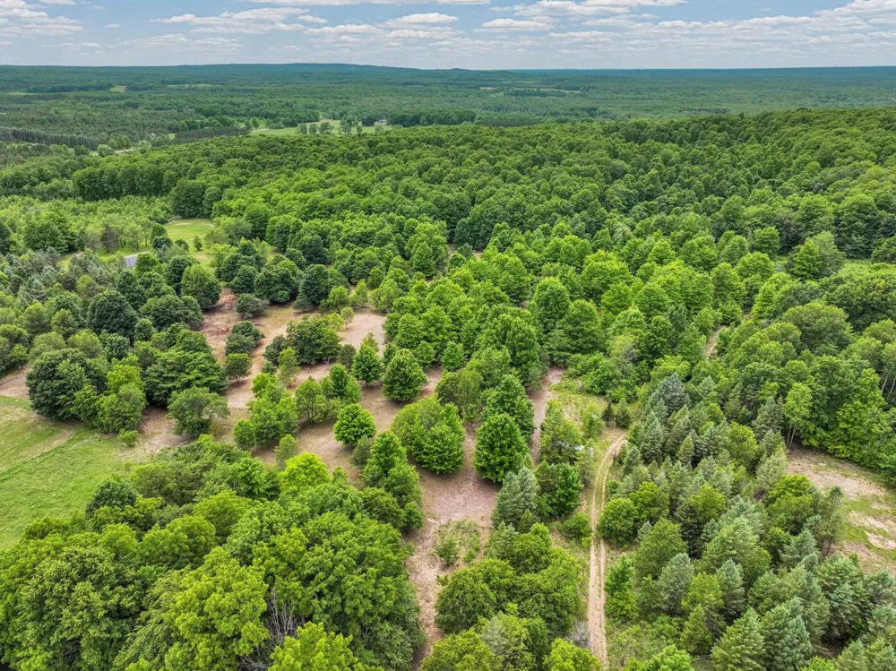 6351 33 ROAD Greenwood Township, MI 49663