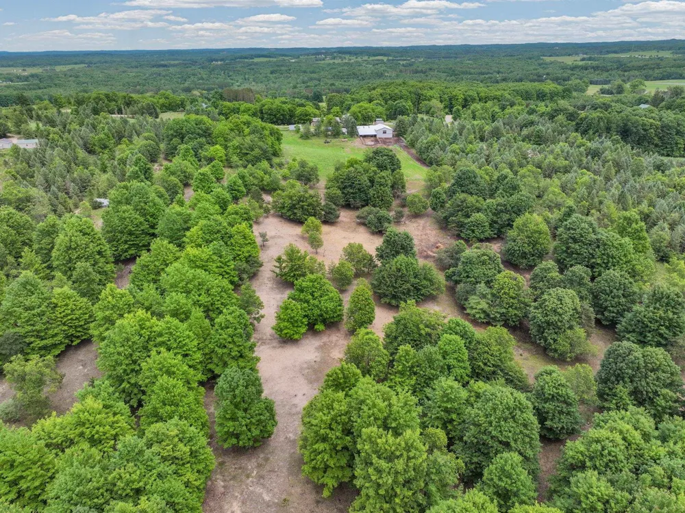 6351 33 ROAD Greenwood Township, MI 49663