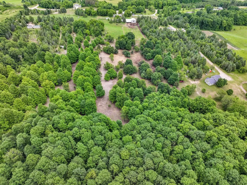 6351 33 ROAD Greenwood Township, MI 49663