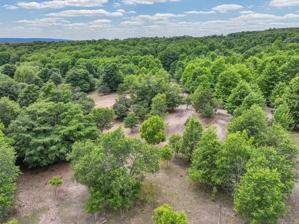 6351 33 ROAD Greenwood Township, MI 49663