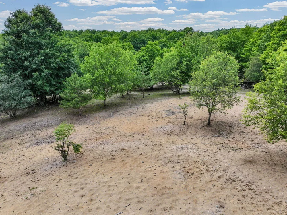 6351 33 ROAD Greenwood Township, MI 49663