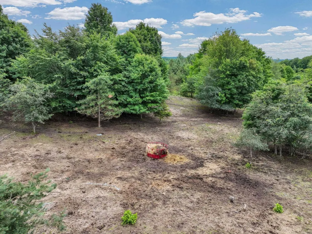 6351 33 ROAD Greenwood Township, MI 49663