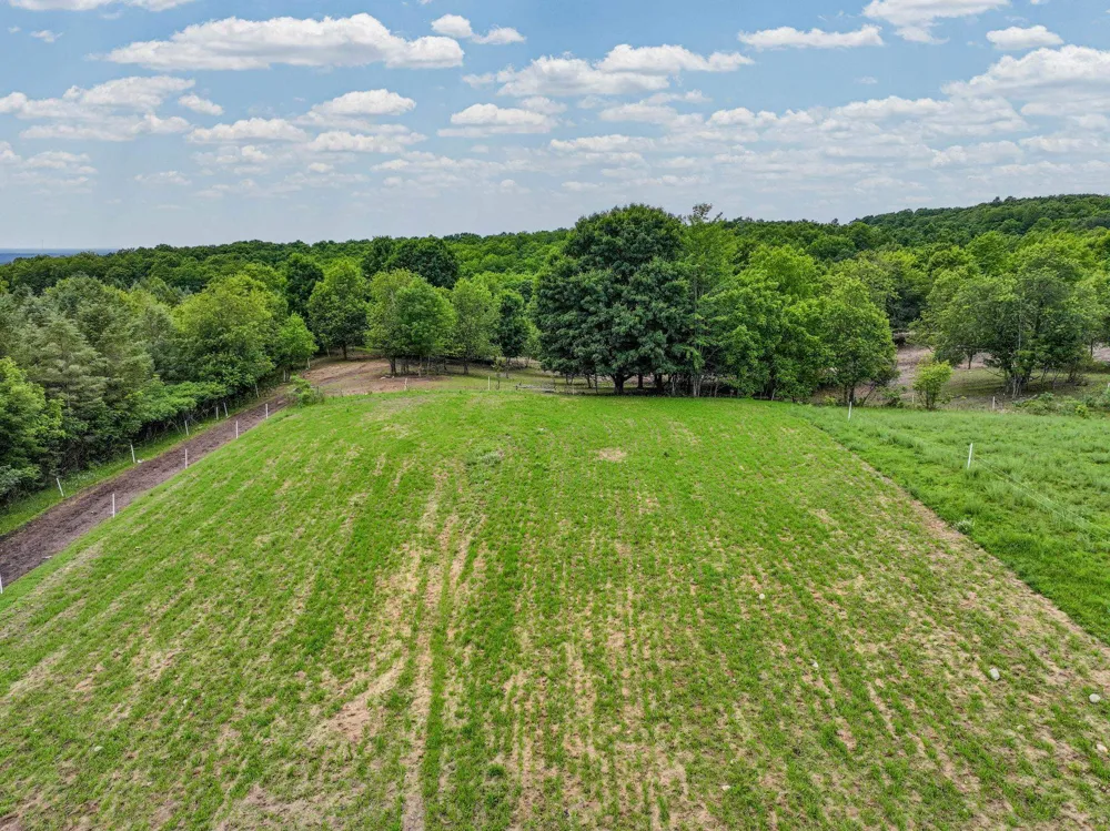 6351 33 ROAD Greenwood Township, MI 49663