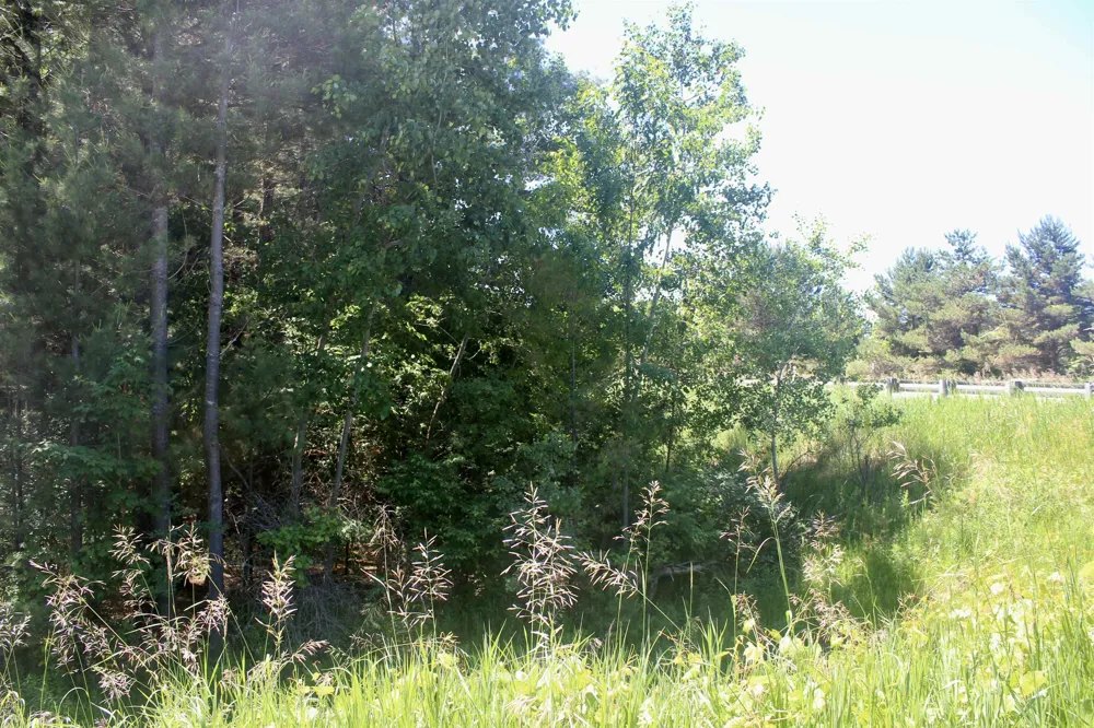 Stone Circle Drive Torch Lake Township, MI 49648