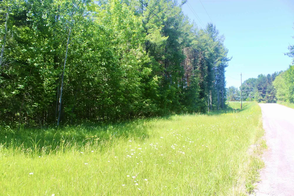 Stone Circle Drive Torch Lake Township, MI 49648
