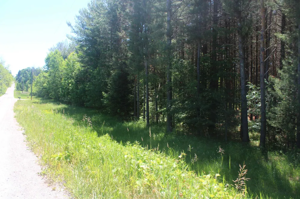 Stone Circle Drive Torch Lake Township, MI 49648