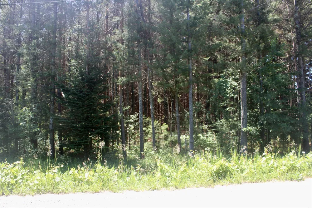 Stone Circle Drive Torch Lake Township, MI 49648