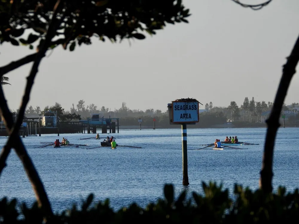 206 FOUR KNOT LANE Osprey, FL 34229