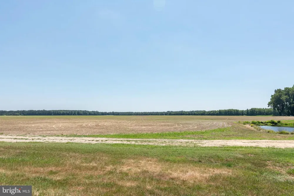 4657 MAIDEN FOREST ROAD Rhodesdale, MD 21659