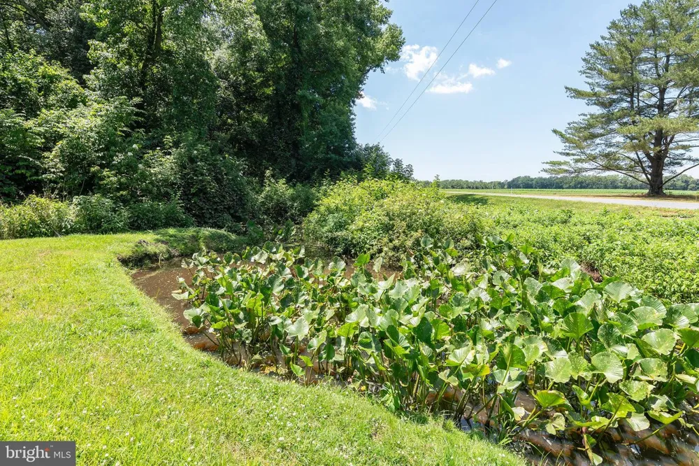 4657 MAIDEN FOREST ROAD Rhodesdale, MD 21659