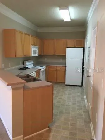 19914 VILLA CREEK DRIVE #203 Orlando, FL 32821
