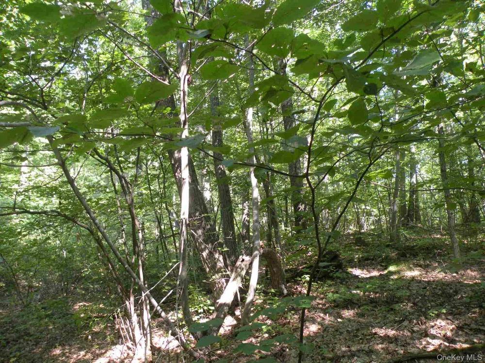 618 Bean River Road Millerton, NY 12546