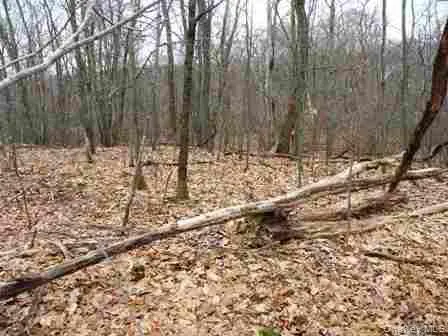618 Bean River Road Millerton, NY 12546