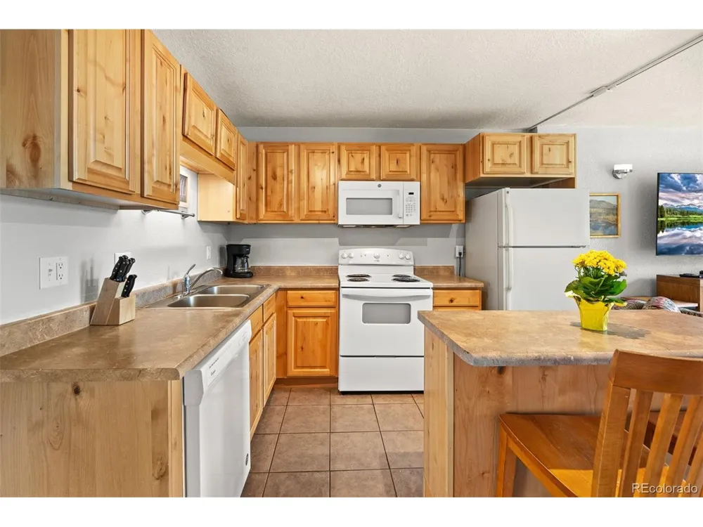 390 Straight Creek Drive #311 Dillon, CO 80435
