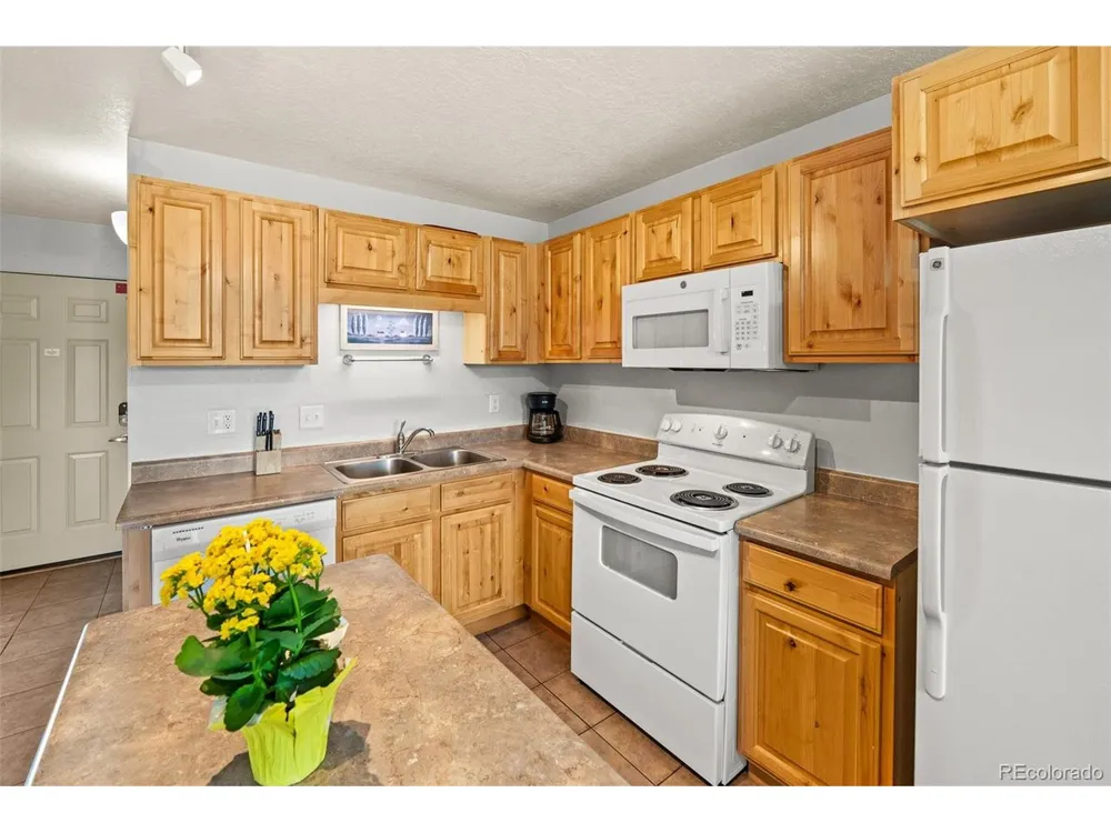 390 Straight Creek Drive #311 Dillon, CO 80435